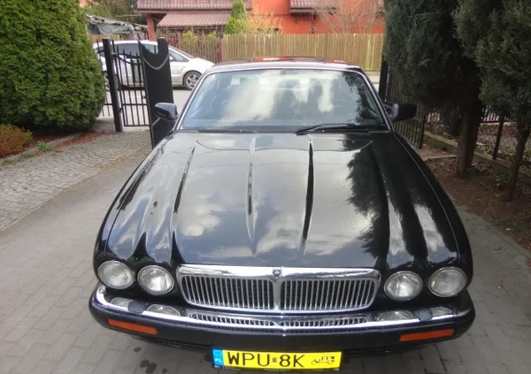 Jaguar XJ cena 21000 przebieg: 258000, rok produkcji 1996 z Pułtusk małe 7